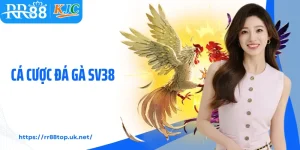 Cá Cược Đá Gà SV38 - Tổng Hợp Các Màn Chọi Kê Mãn Nhãn