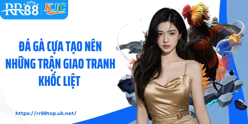 Đá gà cựa tạo nên những trận giao tranh khốc liệt 